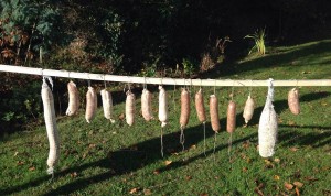 avant-sechage-saucisson