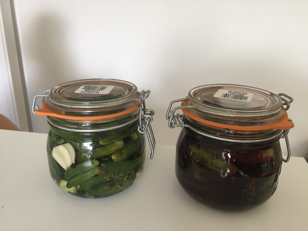 Comment faire des bocaux de cornichons maison ? - Blog Promesse de fleurs